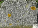 image of grave number 219569